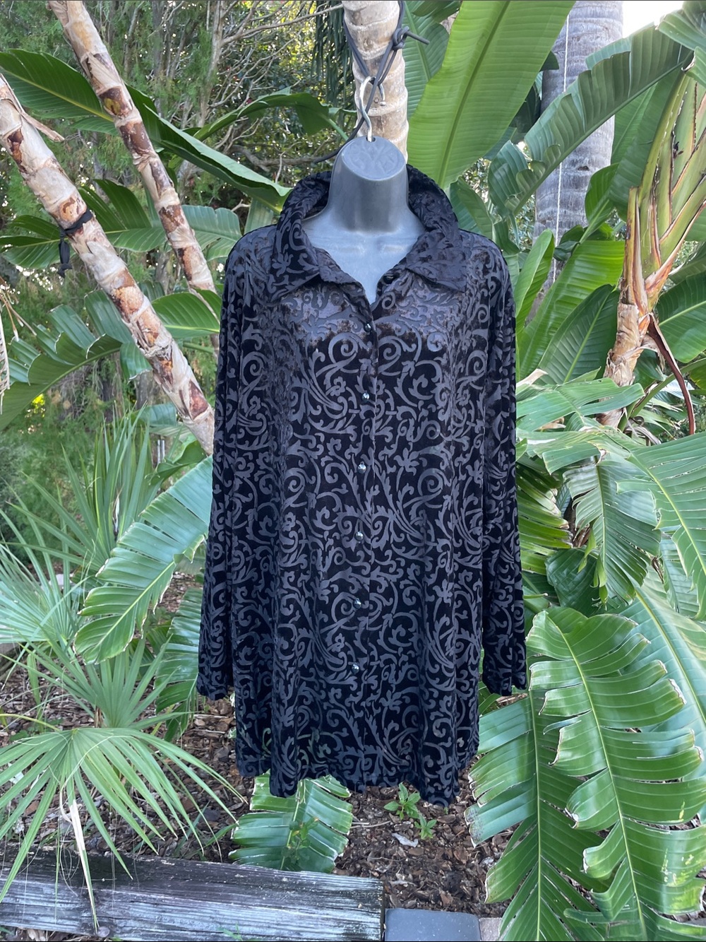 velvet burnout, button-down shirt